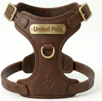 a strong leather dog harness